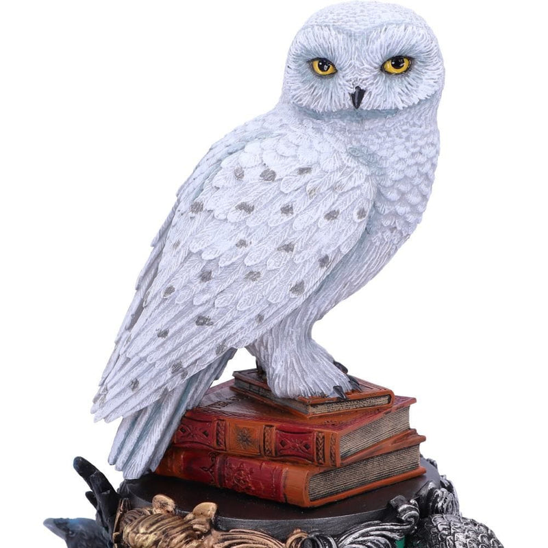 NEMESIS NOW HARRY POTTER HEDWIG FIGURINE 22CM 801269148850