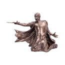 NEMESIS NOW HARRY POTTER VOLDEMORT DUEL 32CM 801269150747