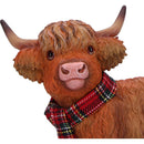 NEMESIS NOW HIGHLAND SNUG 12.2CM 801269159054