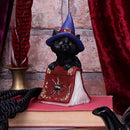 NEMESIS NOW HOCUS 12,7CM 801269139384