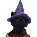 NEMESIS NOW HOCUS 12,7CM 801269139384