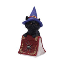NEMESIS NOW HOCUS 12,7CM 801269139384
