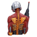 NEMESIS NOW IRON MAIDEN SOMEWHERE IN TIME BUST 29.8CM 801269160562