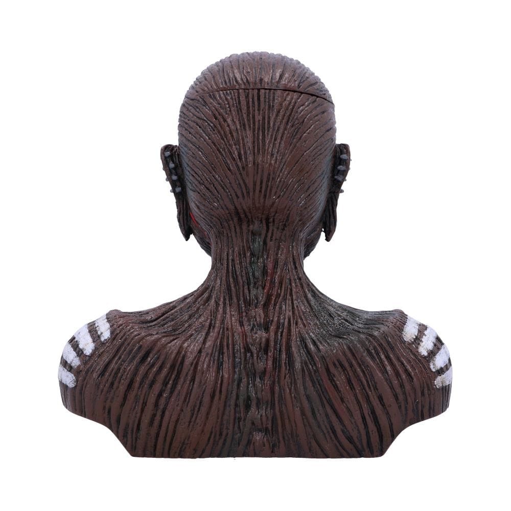 NEMESIS NOW IRON MAIDEN THE BOOK OF SOULS BUST BOX (SMALL) 801269145378