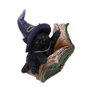NEMESIS NOW KITTY'S GRIMOIRE (GREEN) 8,2CM 801269144487