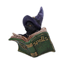 NEMESIS NOW KITTY'S GRIMOIRE (GREEN) 8,2CM 801269144487