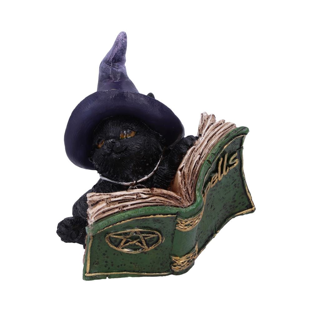 NEMESIS NOW KITTY'S GRIMOIRE (GREEN) 8,2CM 801269144487