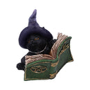 NEMESIS NOW KITTY'S GRIMOIRE (GREEN) 8,2CM 801269144487