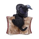 NEMESIS NOW KITTY'S GRIMOIRE (RED) 8,2CM 801269144470