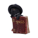 NEMESIS NOW KITTY'S GRIMOIRE (RED) 8,2CM 801269144470