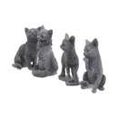 NEMESIS NOW LUCKY BLACK CATS 9CM 8012699990014