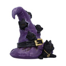 NEMESIS NOW MAGICAL MISCHIEF 14CM 801269154332