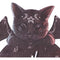 NEMESIS NOW MALPUSS TICKIN CLOCK MDF WALL CLOCK 801269156282