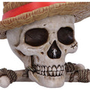 NEMESIS NOW ONE PIECE LUFFY JOLLY ROGER BOX 801269158538