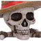 NEMESIS NOW ONE PIECE LUFFY JOLLY ROGER BOX 801269158538