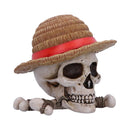 NEMESIS NOW ONE PIECE LUFFY JOLLY ROGER BOX 801269158538