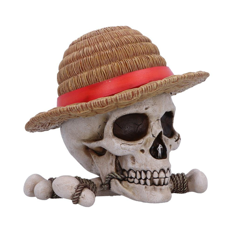 NEMESIS NOW ONE PIECE LUFFY JOLLY ROGER BOX 801269158538