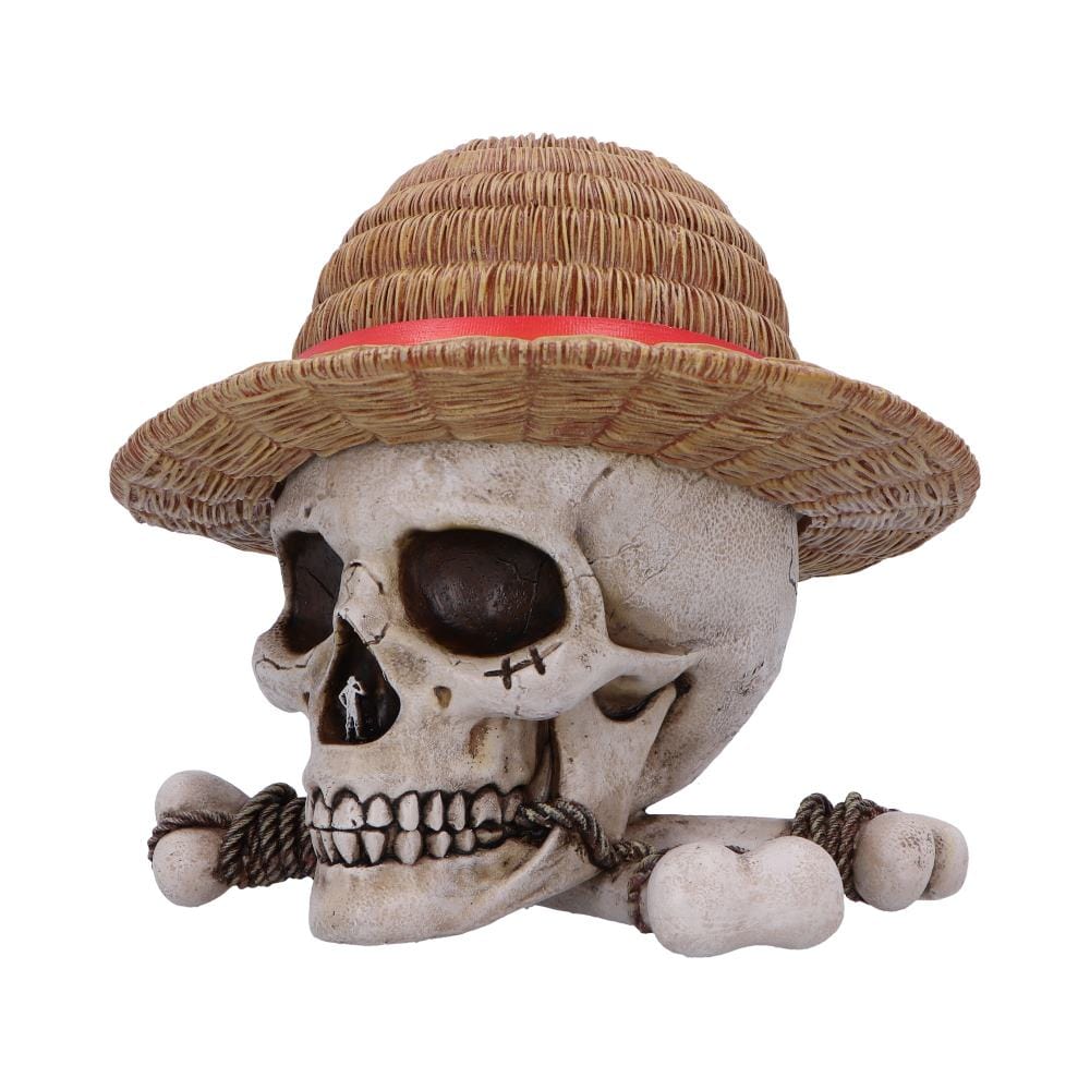 NEMESIS NOW ONE PIECE LUFFY JOLLY ROGER BOX 801269158538