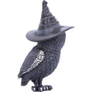 NEMESIS NOW OWLOCEN 13.5CM 801269139575