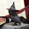 NEMESIS NOW OWLOCEN 13.5CM 801269139575