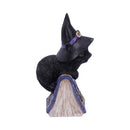 NEMESIS NOW POCUS 12,7CM 801269139391
