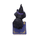 NEMESIS NOW POCUS 12,7CM 801269139391