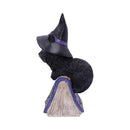 NEMESIS NOW POCUS 12,7CM 801269139391