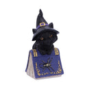 NEMESIS NOW POCUS 12,7CM 801269139391