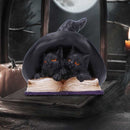 NEMESIS NOW POTION PAIR 10.5CM 801269157425