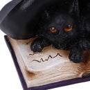 NEMESIS NOW POTION PAIR 10.5CM 801269157425