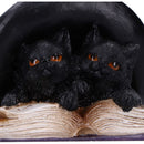 NEMESIS NOW POTION PAIR 10.5CM 801269157425