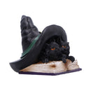 NEMESIS NOW POTION PAIR 10.5CM 801269157425