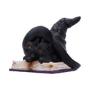 NEMESIS NOW POTION PAIR 10.5CM 801269157425
