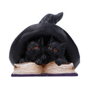 NEMESIS NOW POTION PAIR 10.5CM 801269157425