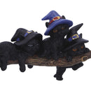 NEMESIS NOW PURRFECT BROOMSTICK 27,5CM 801269142230