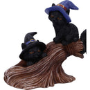 NEMESIS NOW PURRFECT BROOMSTICK 27,5CM 801269142230