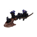 NEMESIS NOW PURRFECT BROOMSTICK 27,5CM 801269142230