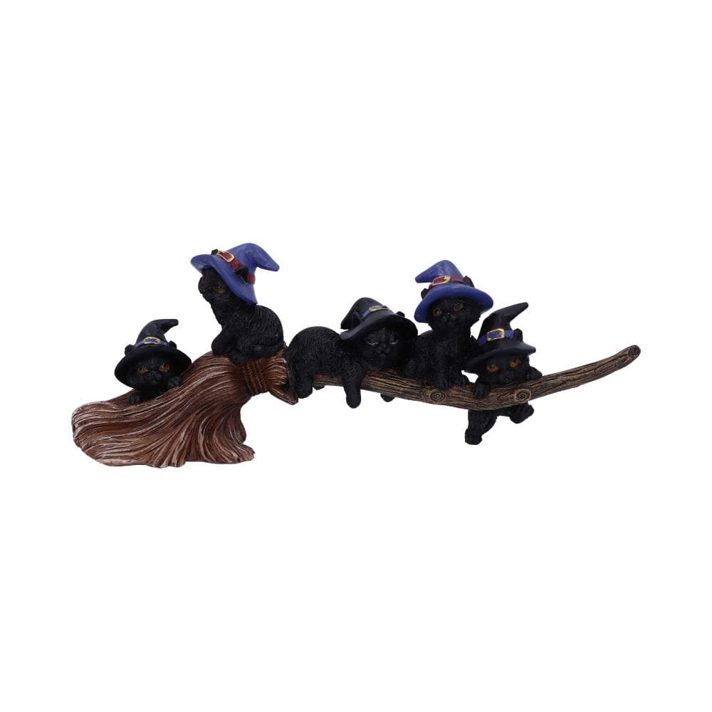 NEMESIS NOW PURRFECT BROOMSTICK 27,5CM 801269142230