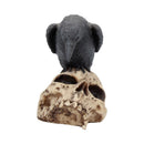 NEMESIS NOW RAVENS REMAINS 13CM 801269080068
