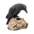 NEMESIS NOW RAVENS REMAINS 13CM 801269080068