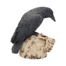 NEMESIS NOW RAVENS REMAINS 13CM 801269080068