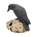 NEMESIS NOW RAVENS REMAINS 13CM 801269080068