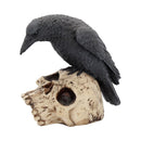 NEMESIS NOW RAVENS REMAINS 13CM 801269080068