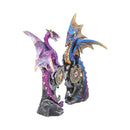 NEMESIS NOW REALM PROTECTORS (SET OF 2) 15CM 801269121297