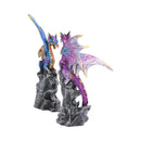 NEMESIS NOW REALM PROTECTORS (SET OF 2) 15CM 801269121297