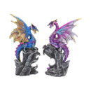 NEMESIS NOW REALM PROTECTORS (SET OF 2) 15CM 801269121297
