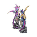 NEMESIS NOW REALM PROTECTORS (SET OF 2) 15CM 801269121297
