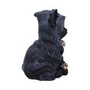 NEMESIS NOW REAPERS FELINE 16CM 801269136291