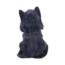 NEMESIS NOW REAPERS FELINE 16CM 801269136291