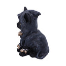 NEMESIS NOW REAPERS FELINE 16CM 801269136291